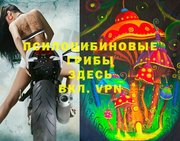 шишки Алексин