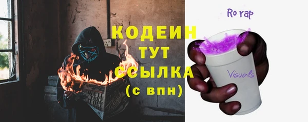 шишки Алексин