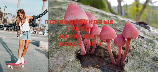 шишки Алексин