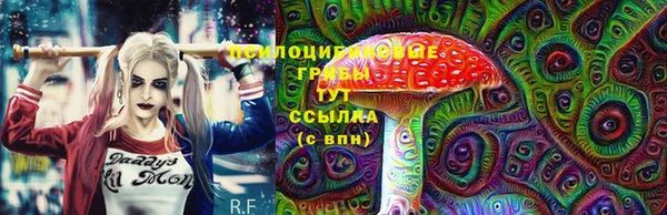 шишки Алексин
