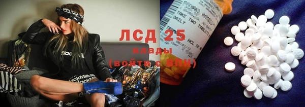 шишки Алексин