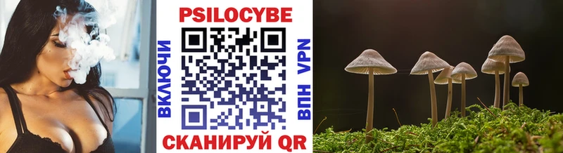 Псилоцибиновые грибы Cubensis Кириши