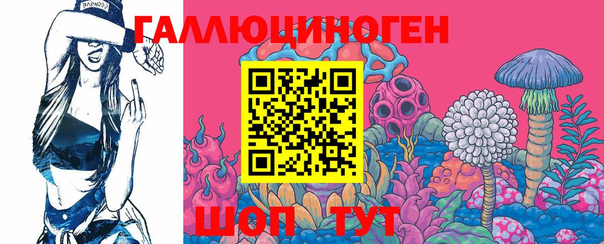 Псилоцибиновые грибы GOLDEN TEACHER Кириши